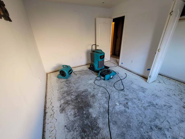 Best Water damage restoration cost  in Edgewood, TX
