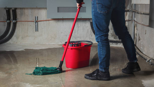 Best 24-hour water damage restoration  in Edgewood, TX