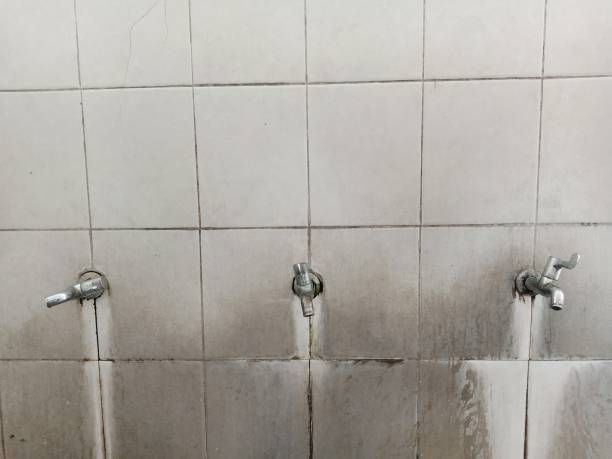 Best Carpet water damage restoration  in Edgewood, TX